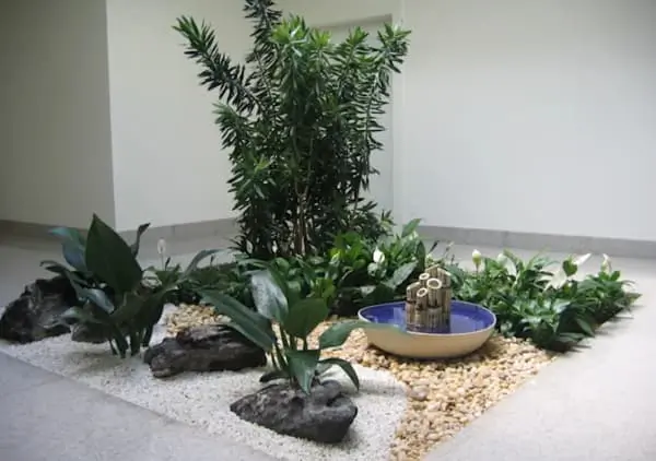 Cultiva plantas de interior