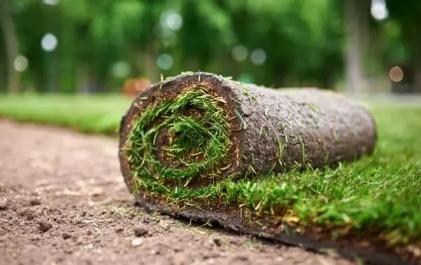 Cuáles son los tipos de césped artificial según el material