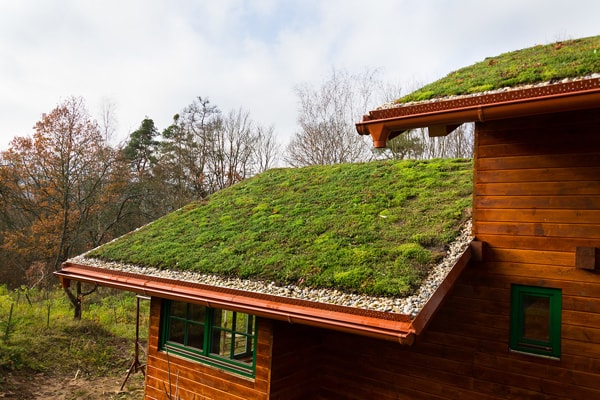 El techo verde