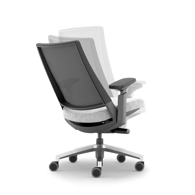 Mod.1º: Sincro Motion 3.60 (side 2 side) + trasla. forma 5